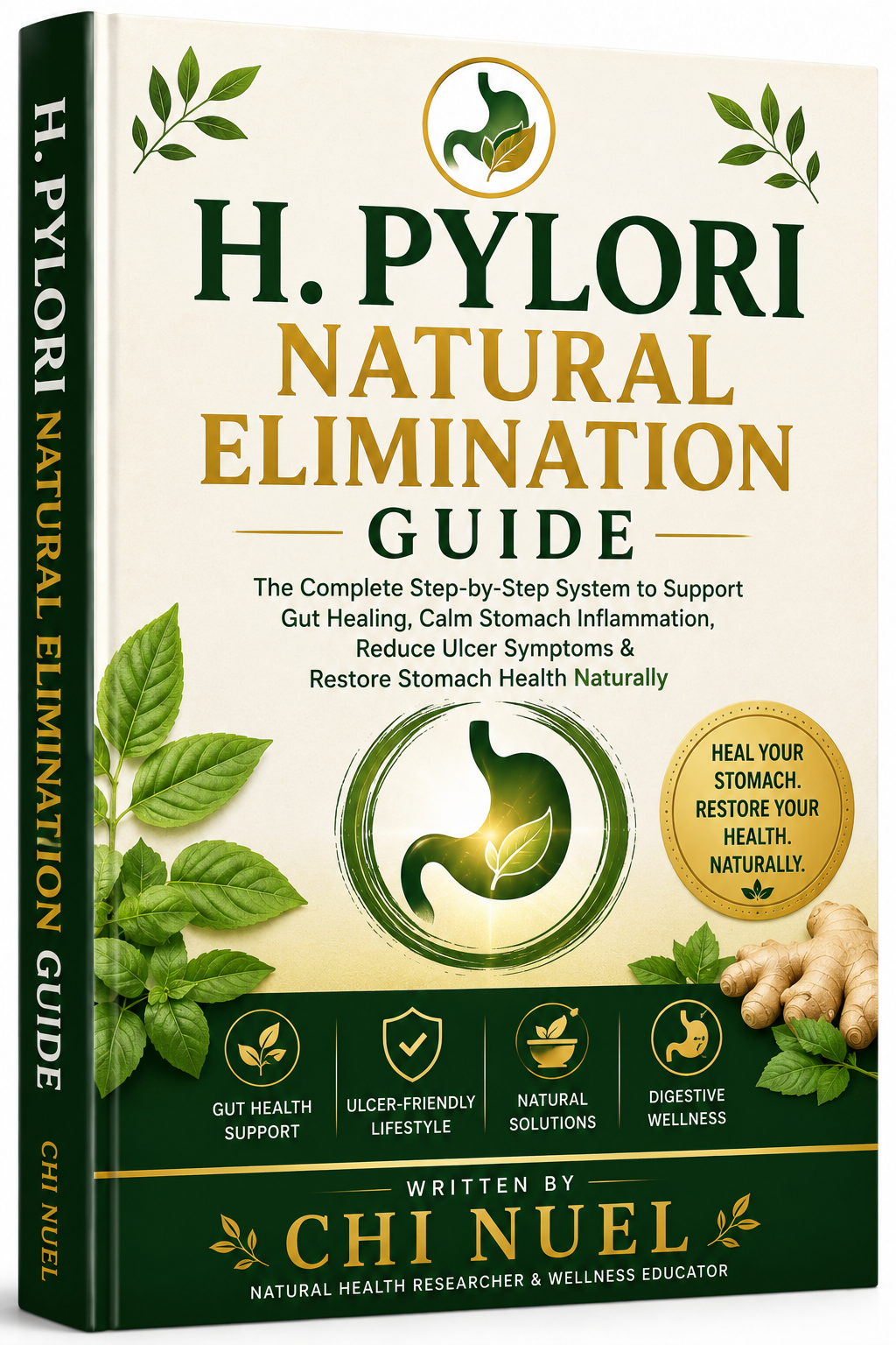 H. Pylori Natural Elimination Guide